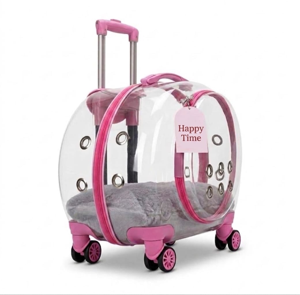 YUVARLAK MODEL TAŞIMA ÇANTASI ŞEFFAF thumbnail 2